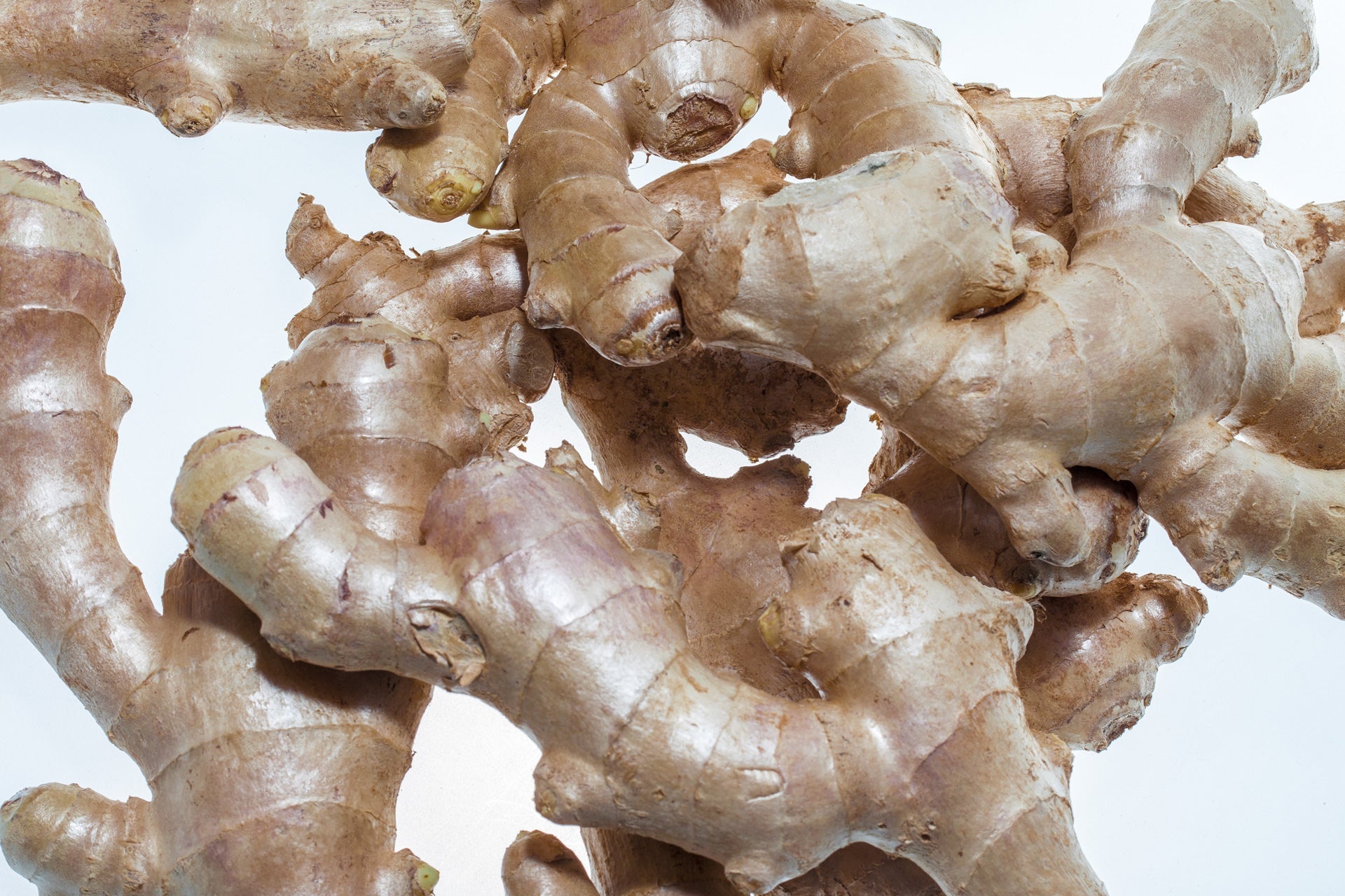 Reg. 7 – Wurzeln und Gemüse - Destillerie Kohler - Aromenbibliothéque